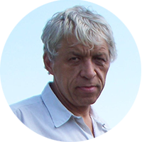 Prof. Dr. Wladimir Bodrow